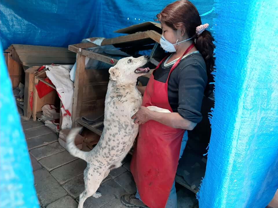 Amelie con su perro abandonado