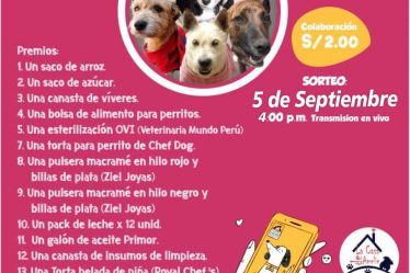 Banner Rifa Pro Perritos del Albergue