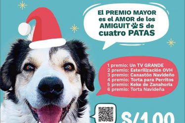 Banner de Sorteo de Navidad 2020