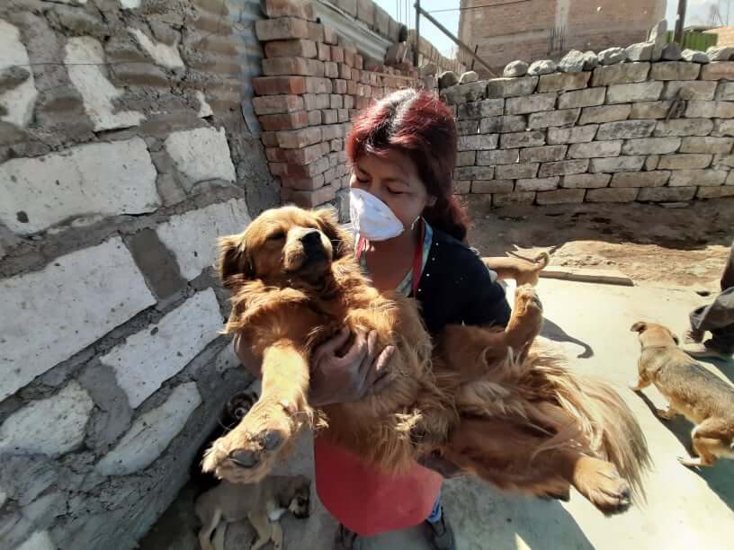 Magdalena Chicata con Perros del Albergue